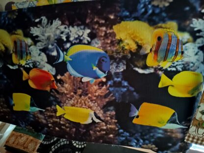 PASSATOIA GOMMATA CM. 52 SPRINTY - immagine 6